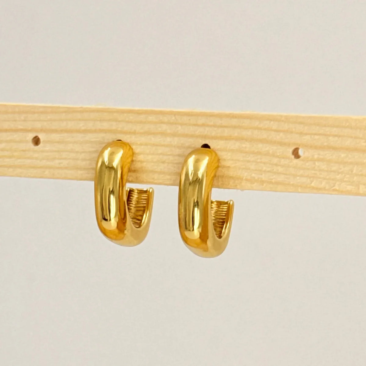 Power loop earrings